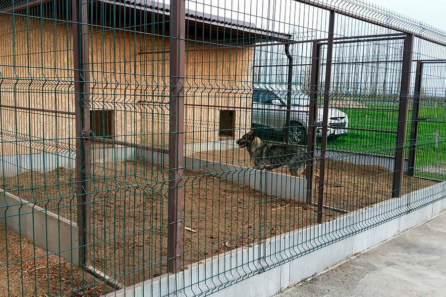 Пример исполнения вольера для собак из 3д секций Пример исполнения вольера для собак из 3д секций